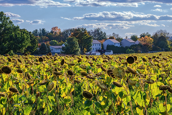 2025Oct20_2491