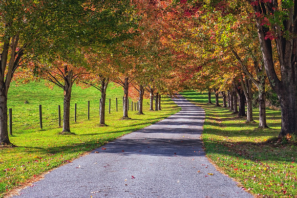 2025Oct23_2269