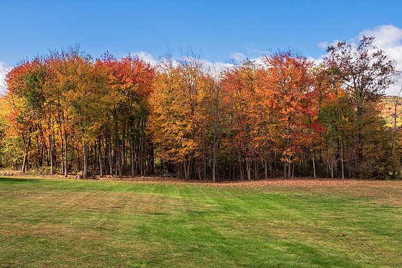2025Oct24_2163
