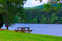 Madison Lake Lunch Table