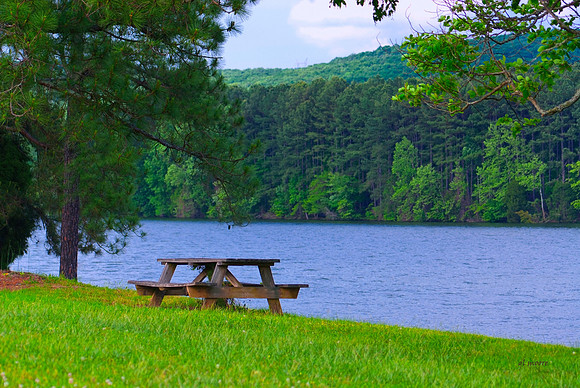 Madison Lake Lunch Table
