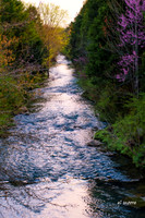 Cathedral Caverns Tributary