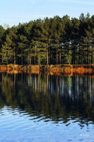 Hays Nature Preserve