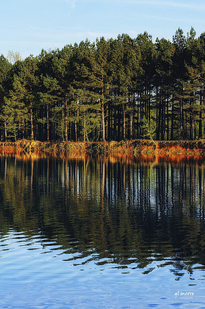 Hays Nature Preserve