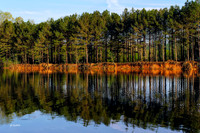 Hays Nature Preserve