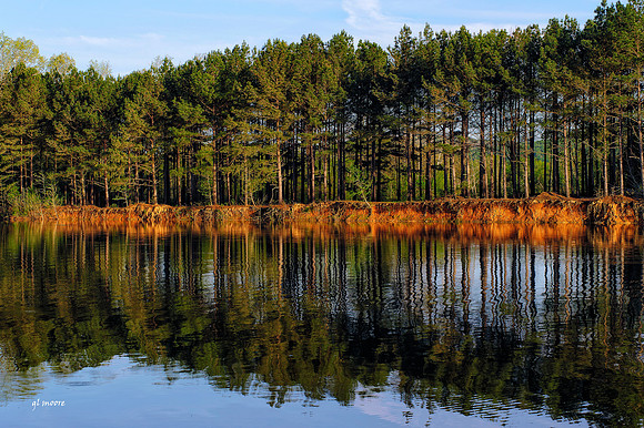 Hays Nature Preserve