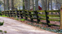 Alabama Walkway