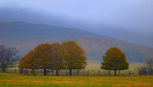 Jones Valley