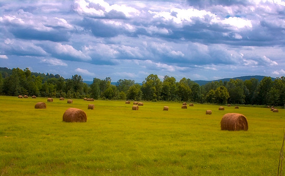 Alabama Summer