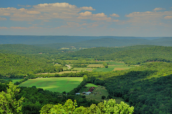 Grant, AL Summer