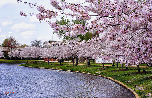 Big Spring Park, Huntsville