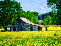 Southern Comfort