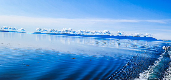 Blue Wake