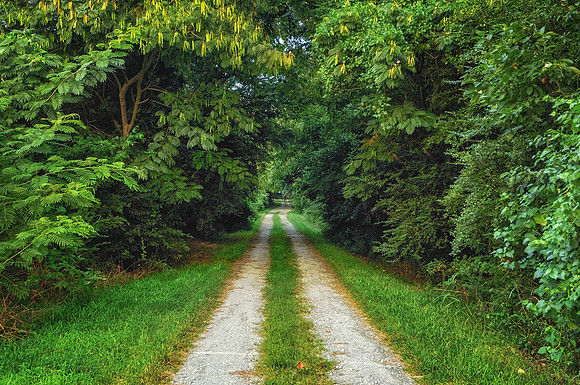 Bone Cemetery Road
