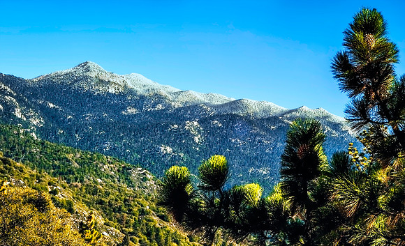 Idyllwild