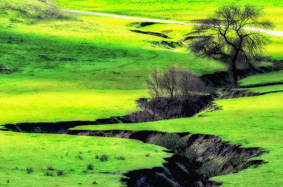 GM2_3921