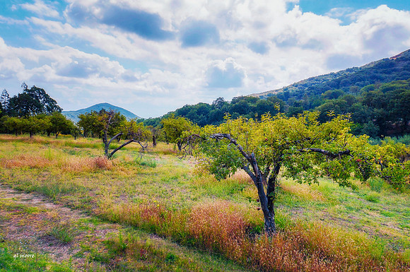 Oak Glen, CA