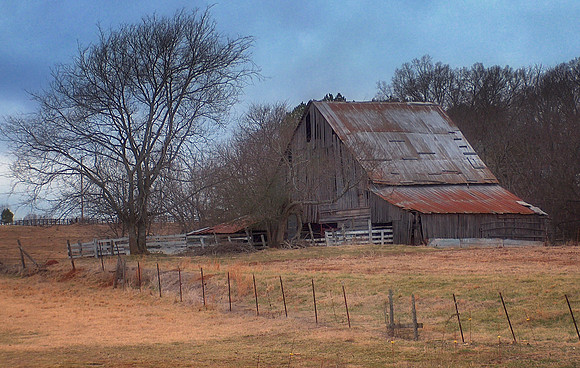 Abandoned Shed