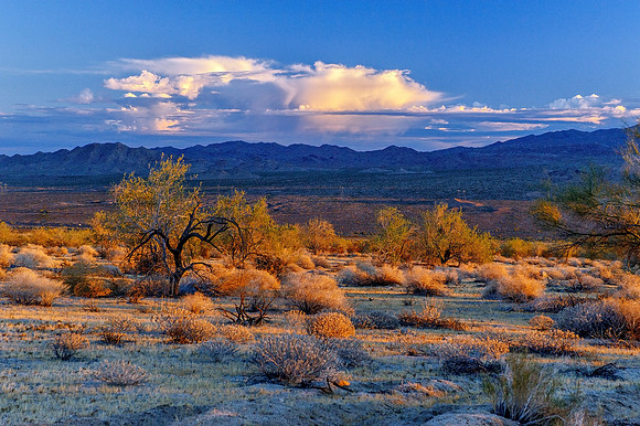Joshua Tree National Park
