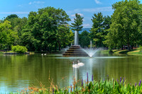 Water's Edge