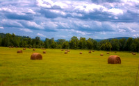 Mid Summer's Dream